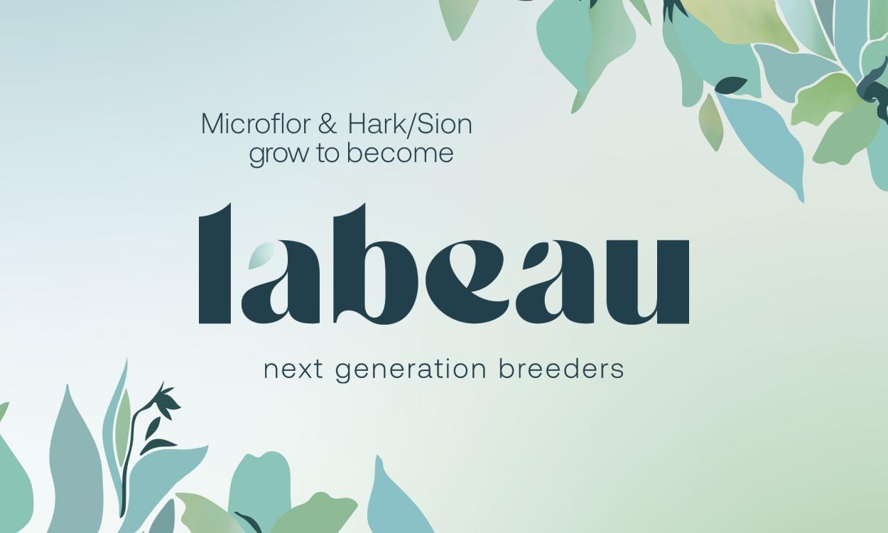Labeau breeders