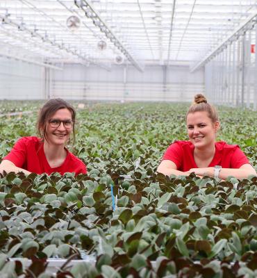 Katrijn and Amelien